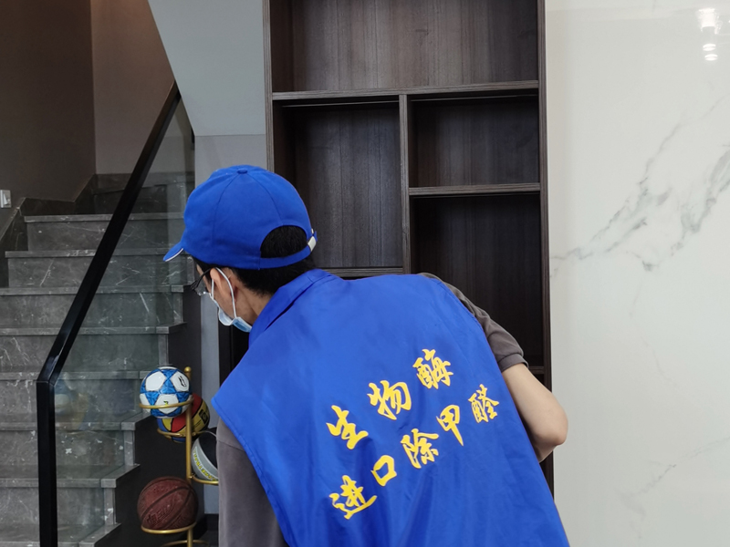 甲醛治理服务8